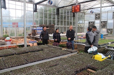热林中心开展热带与南亚热带珍贵树种国家林木种质资源库项目建设开工前期调研-中国林业科学研究院
