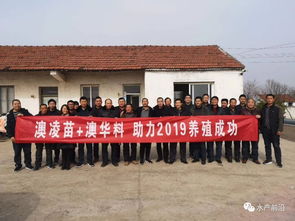 成蟹产量同比高出50斤 亩,澳凌蟹苗走家系选育,不唯 大 是论