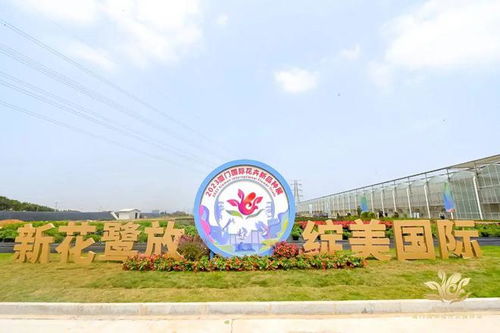 2.5万㎡ 厦门这片大型 花海 上线,持续到