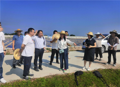 向青云赴海南考察调研贵州省南繁科研育种基地