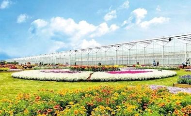 花博会要来了,怎么逛更过瘾?独家观展攻略→