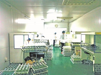 亩均效益最高300万元 看锡山现代农业产业园如何玩转“农业+”