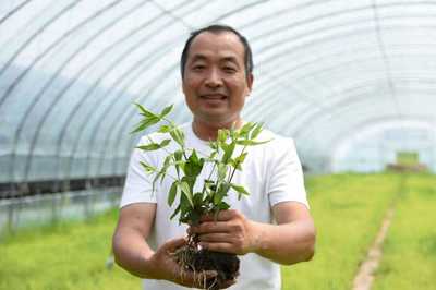 扶贫第一书记 那些我们见证并为之奋斗过的乡村之变——代理袋装种子销售的故事