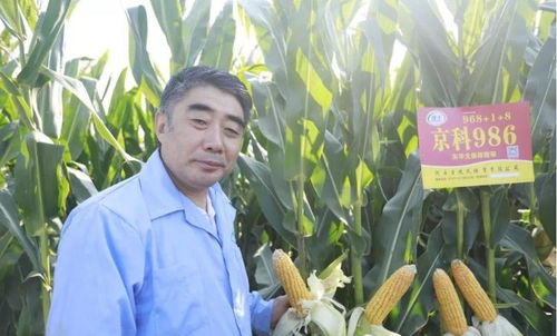 农业芯片 种业振兴背后的战略较量