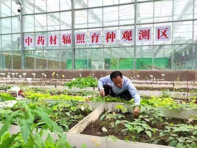 国家核安保技术中心助力宁强中药材辐照育种技术交流培训与种业发展
